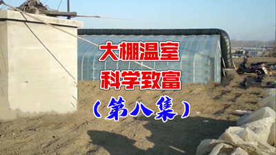 青島風全溫室配套有限公司